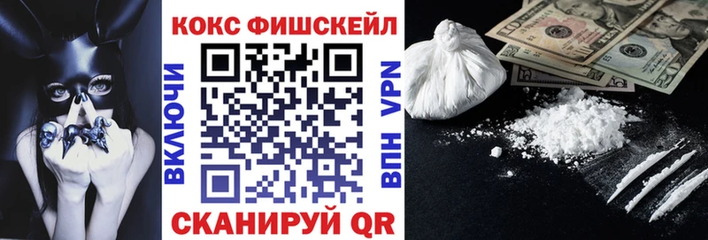 COCAIN Fish Scale  сколько стоит  Ильский 