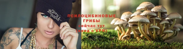 гидропоника Абаза