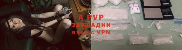 СК Абинск