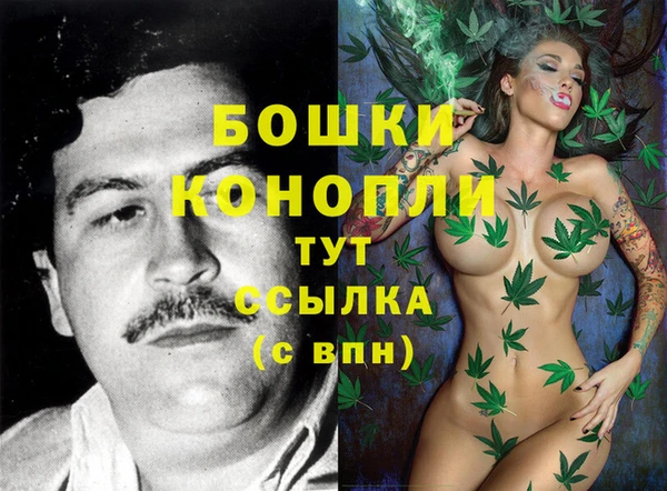 СК Абинск