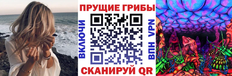 darknet наркотические препараты  Ильский  Псилоцибиновые грибы MAGIC MUSHROOMS  даркнет сайт 